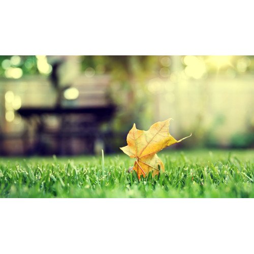 منتج اختبار جديد - 44 منتج اختبار جديد - 44